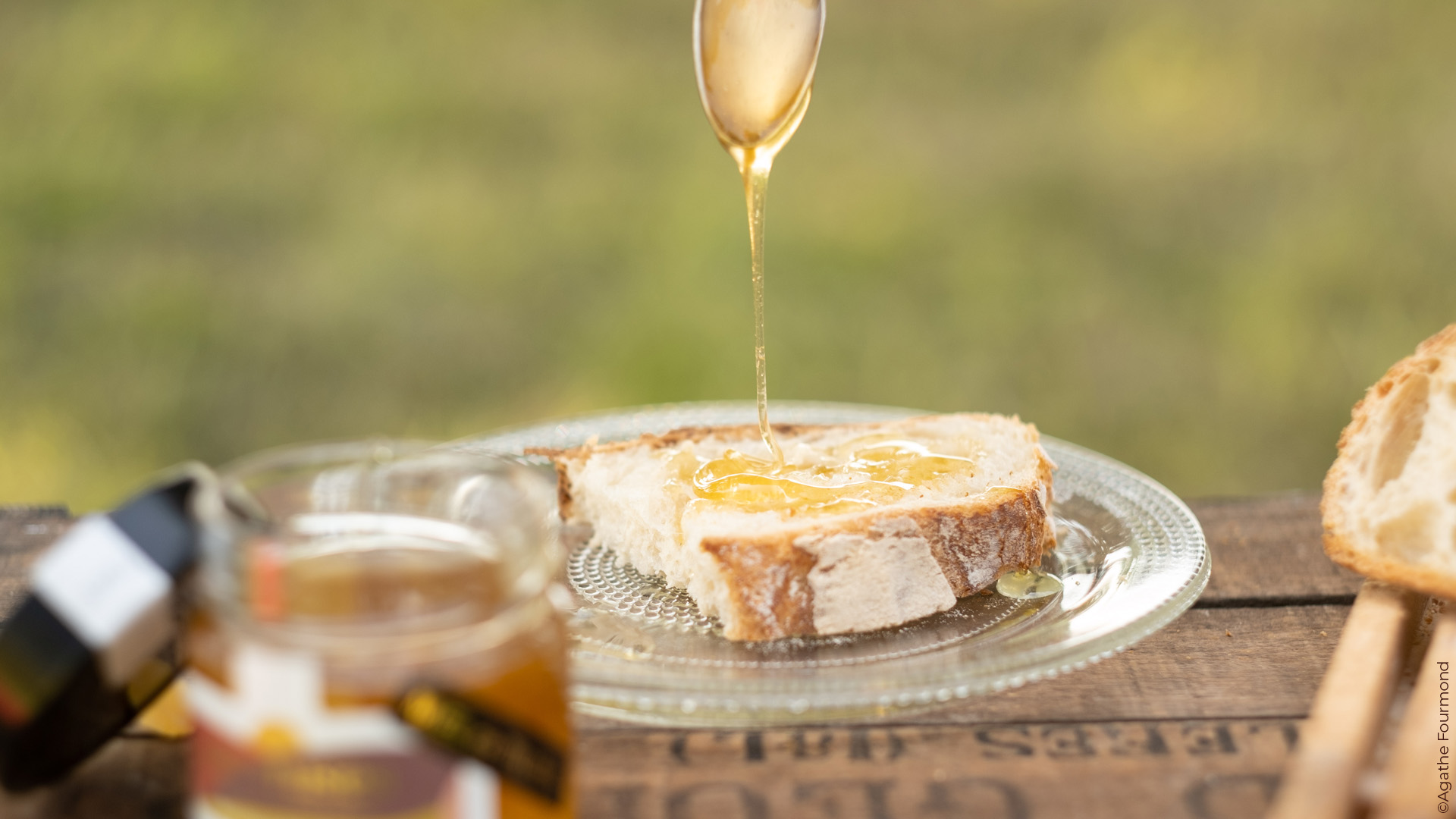 Tranche de pain tartinée de miel Les Muses. Photo Agathe Fourmond